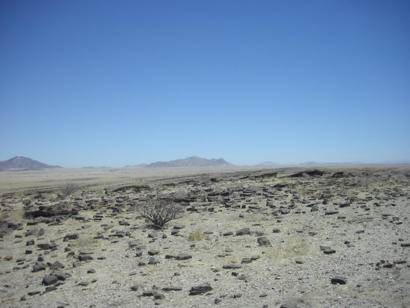 Image CIMG8578.JPG