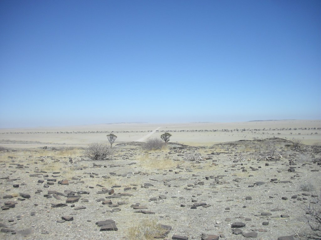 Image CIMG8579.JPG