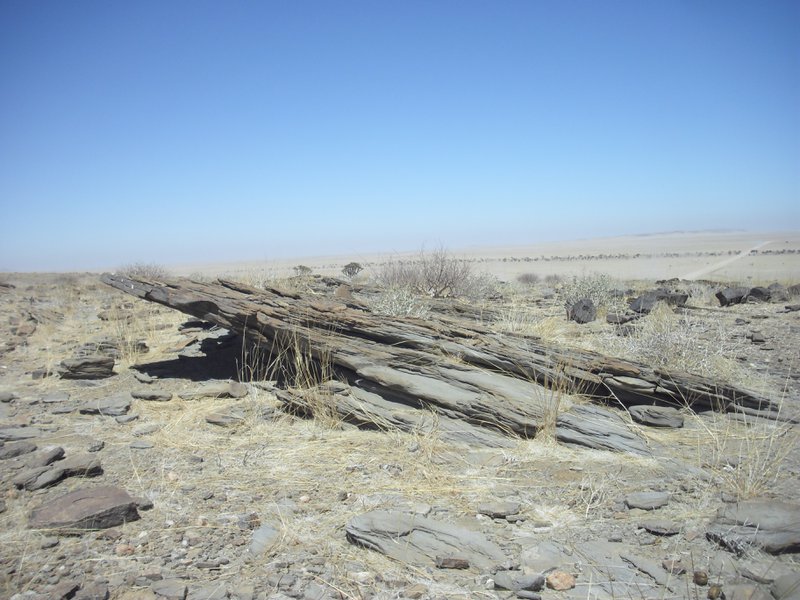 Image CIMG8580.JPG