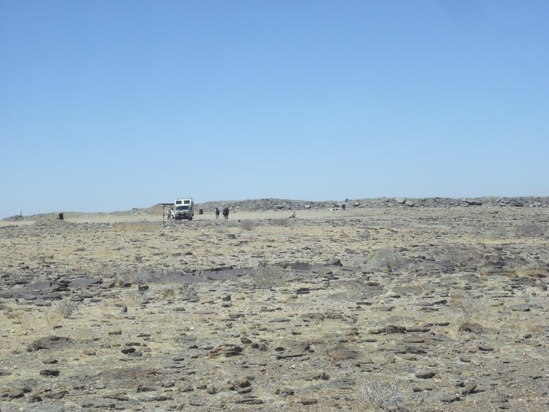 Image CIMG8581.JPG
