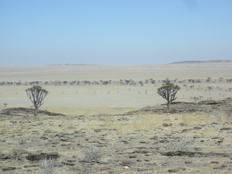 Image CIMG8582.JPG