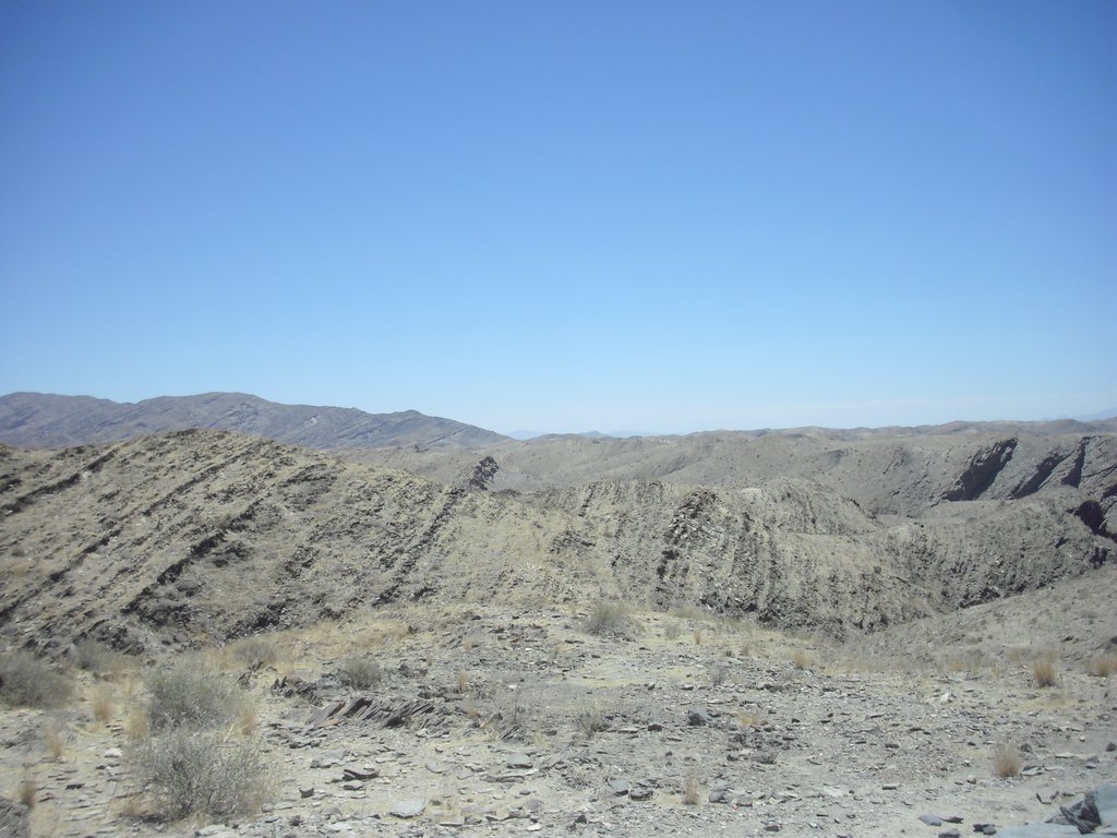 Image CIMG8592.JPG