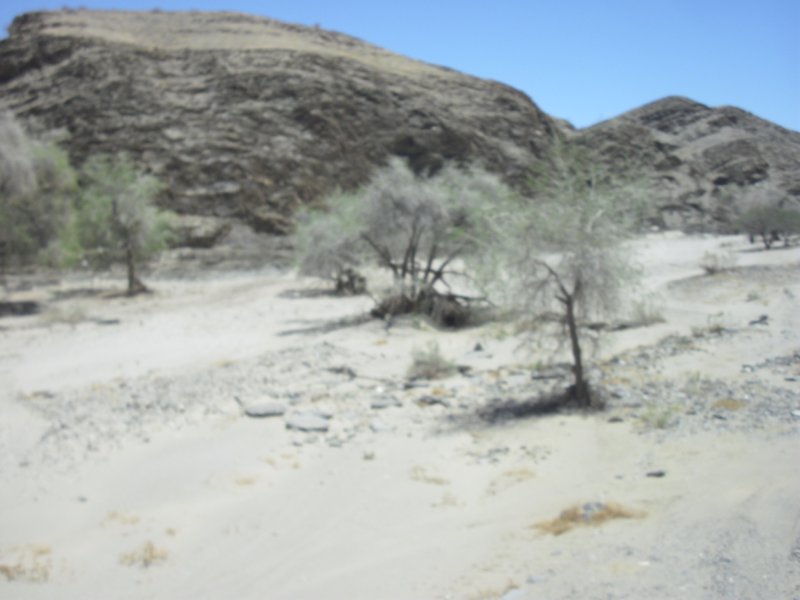 Image CIMG8594.JPG