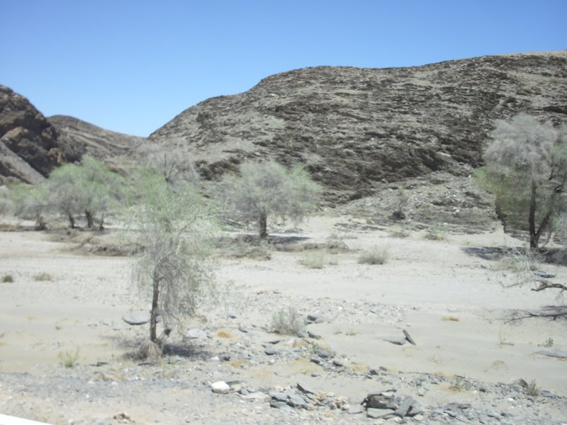 Image CIMG8595.JPG