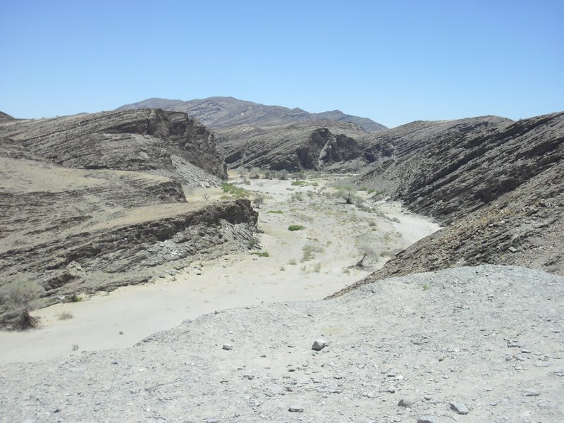 Image CIMG8596.JPG