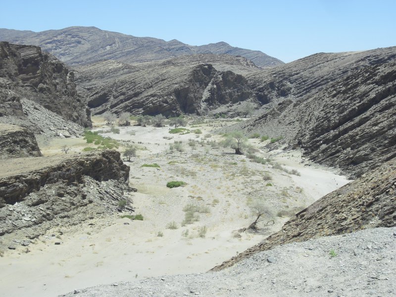 Image CIMG8597.JPG