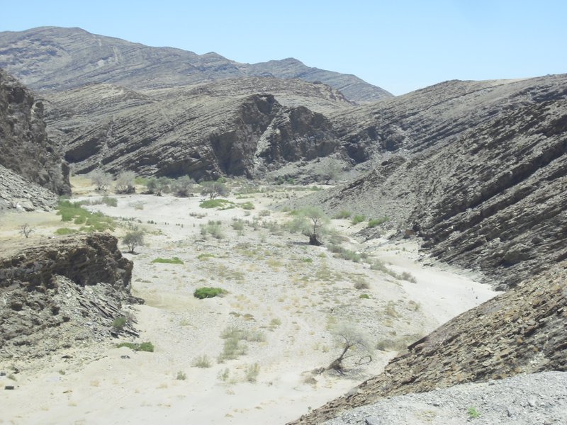 Image CIMG8598.JPG