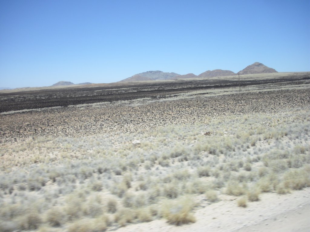 Image CIMG8599.JPG