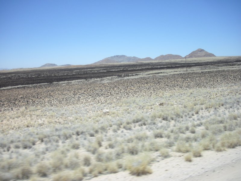 Image CIMG8599.JPG