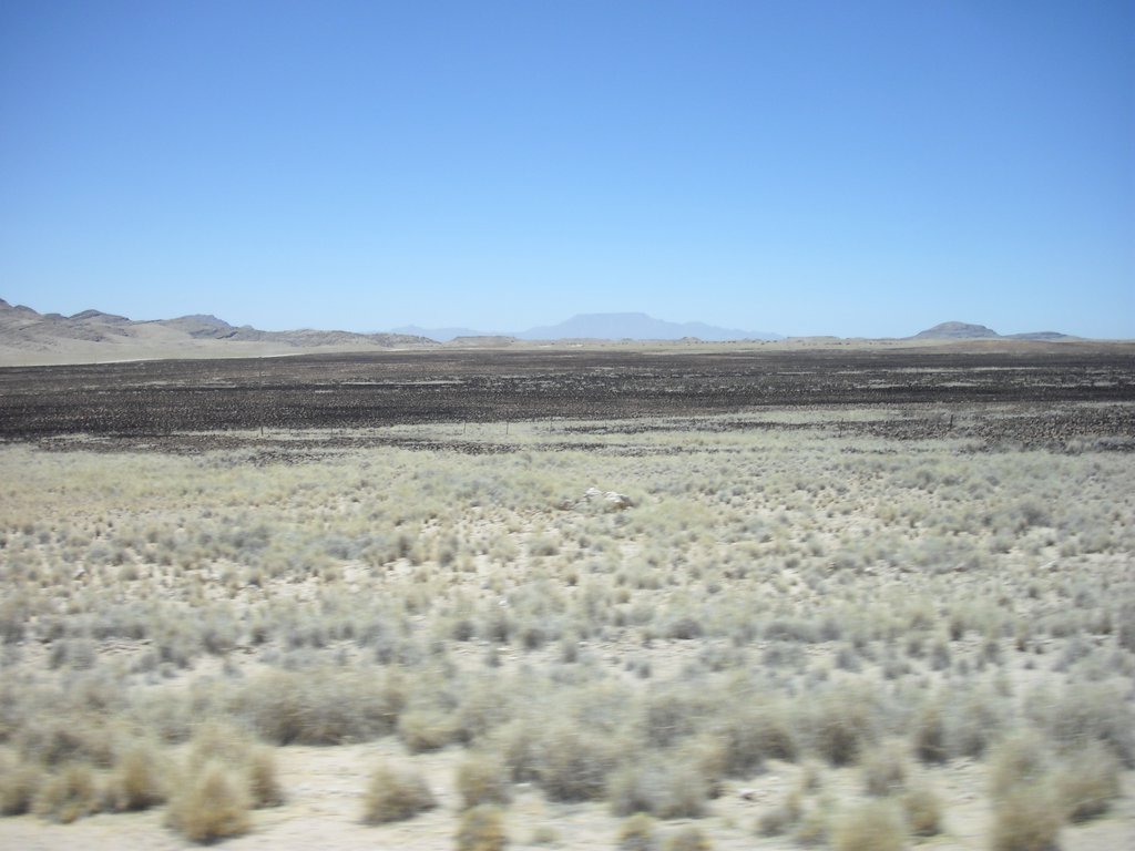 Image CIMG8600.JPG