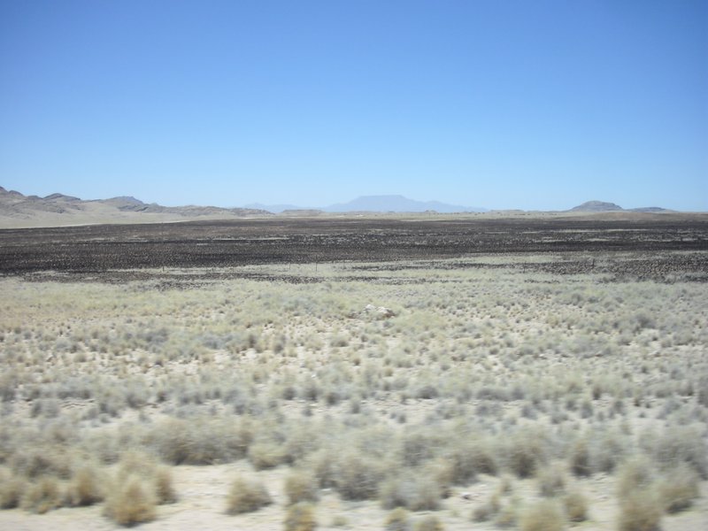 Image CIMG8600.JPG