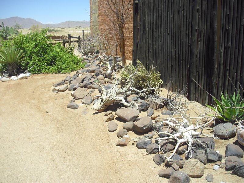 Image CIMG8607.JPG
