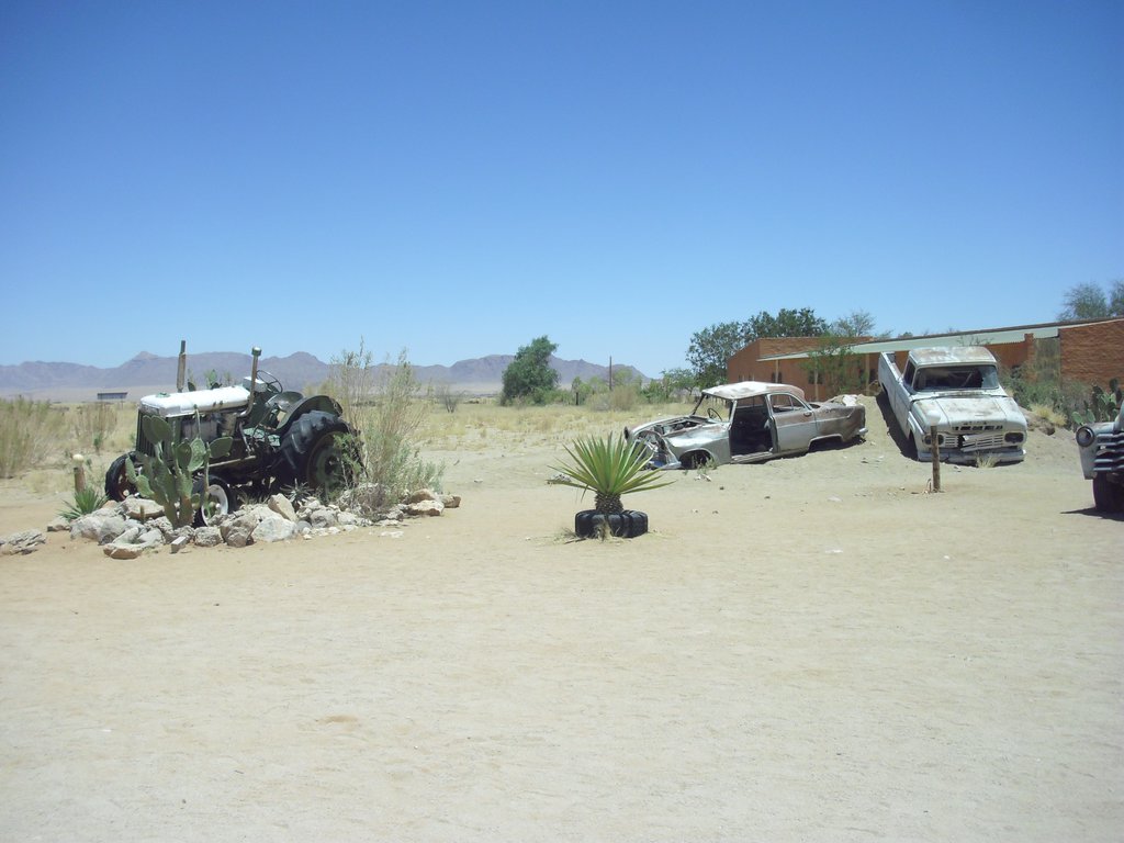 Image CIMG8610.JPG