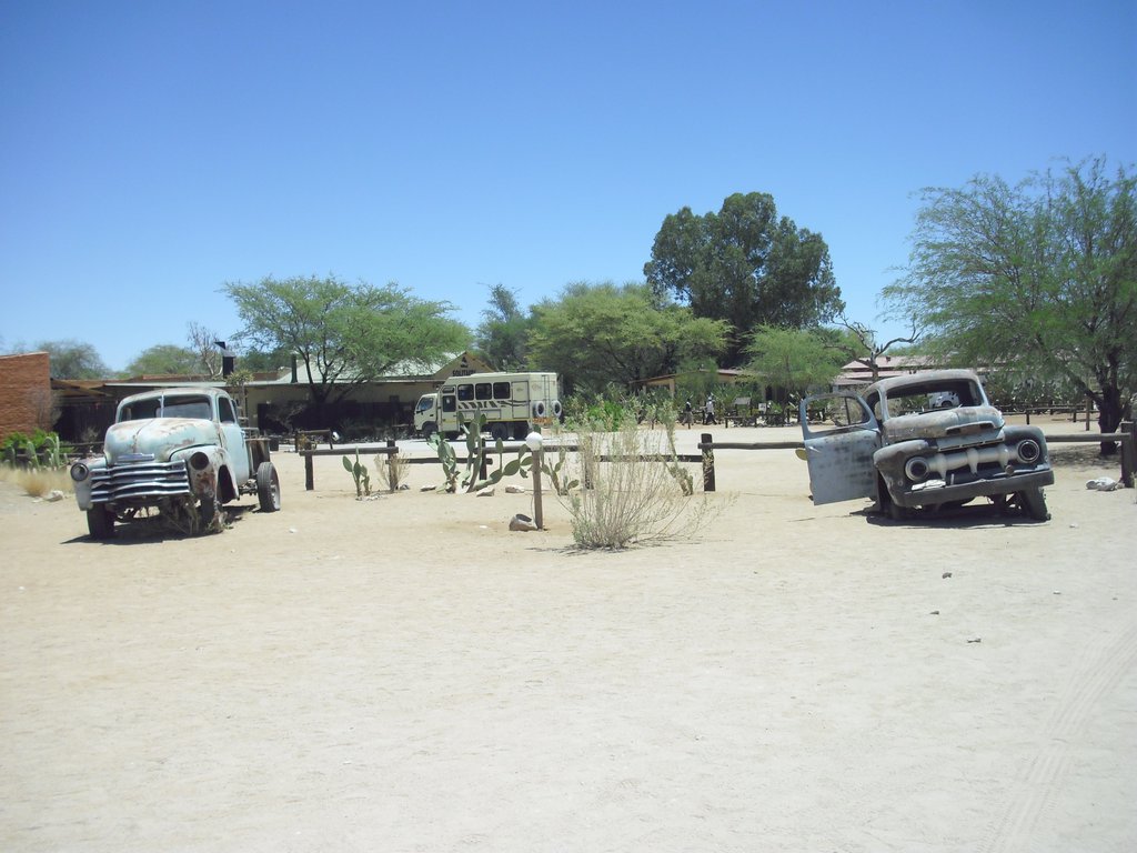 Image CIMG8612.JPG
