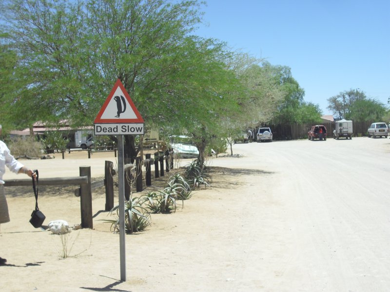 Image CIMG8614.JPG