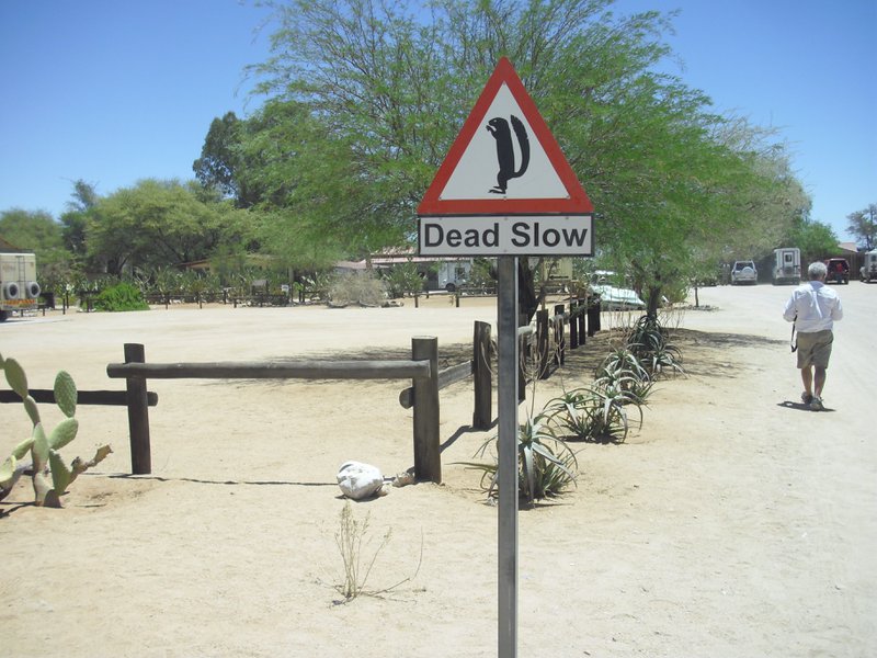 Image CIMG8615.JPG