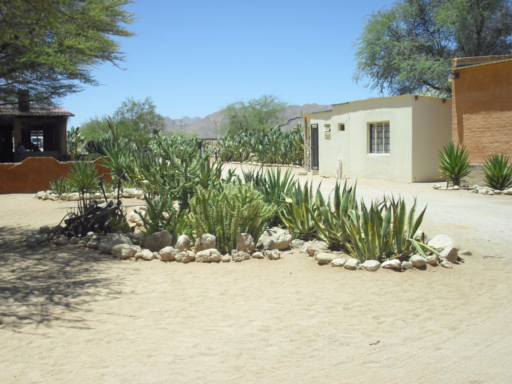 Image CIMG8617.JPG
