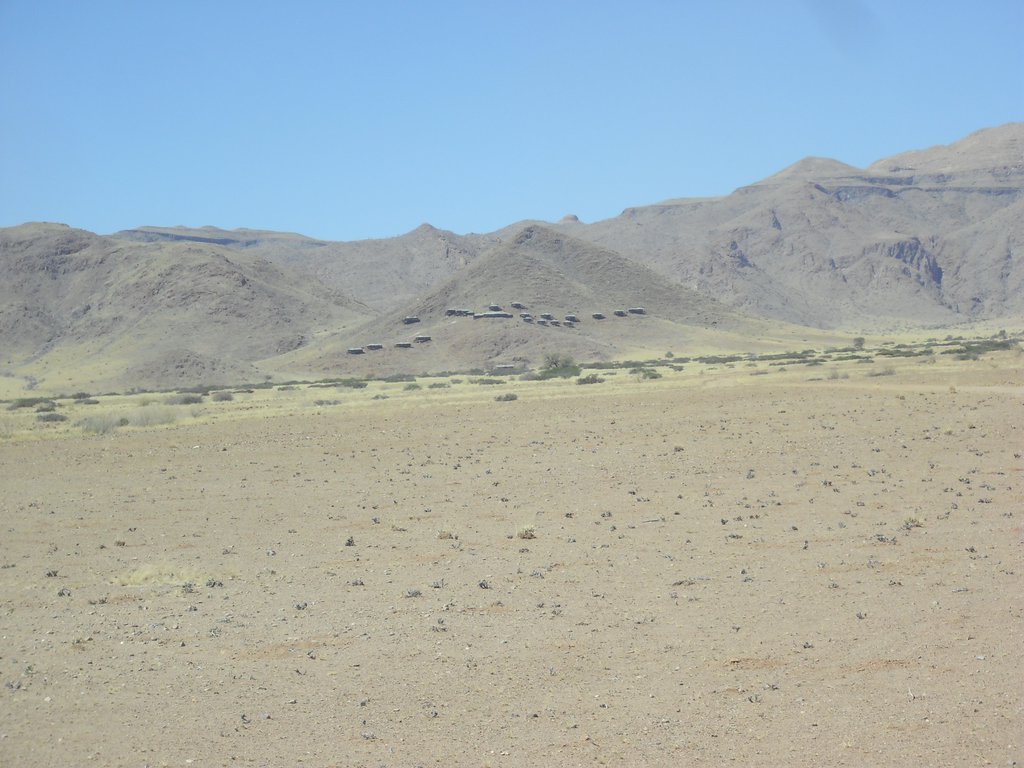 Image CIMG8630.JPG