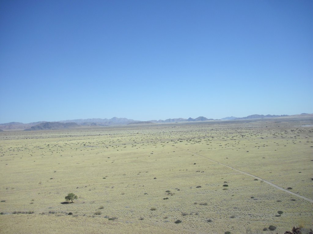 Image CIMG8641.JPG