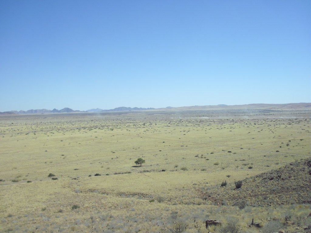 Image CIMG8649.JPG