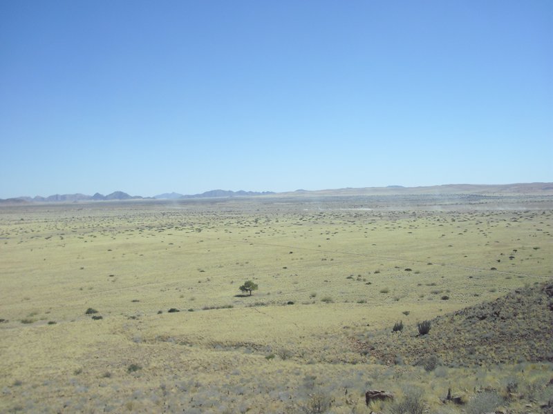 Image CIMG8649.JPG