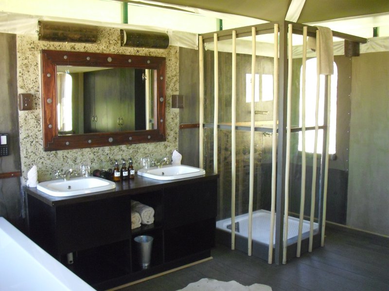 Image CIMG8652.JPG