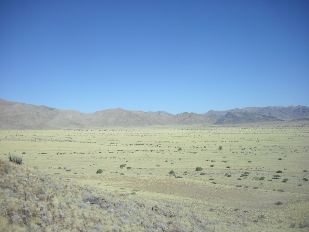 Image CIMG8655.JPG