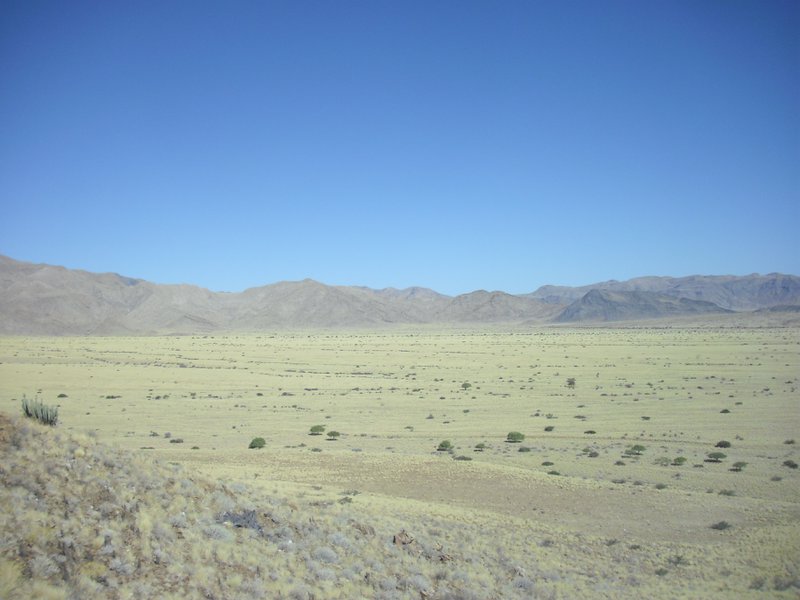 Image CIMG8655.JPG