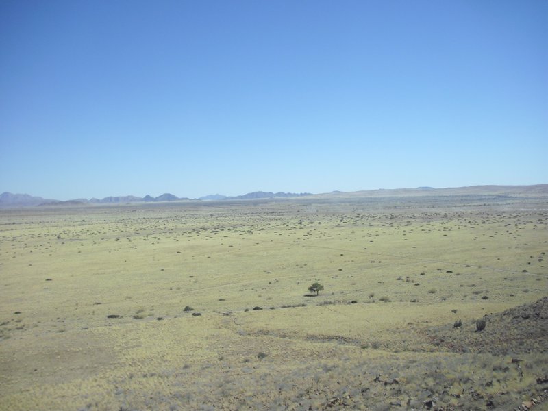 Image CIMG8656.JPG