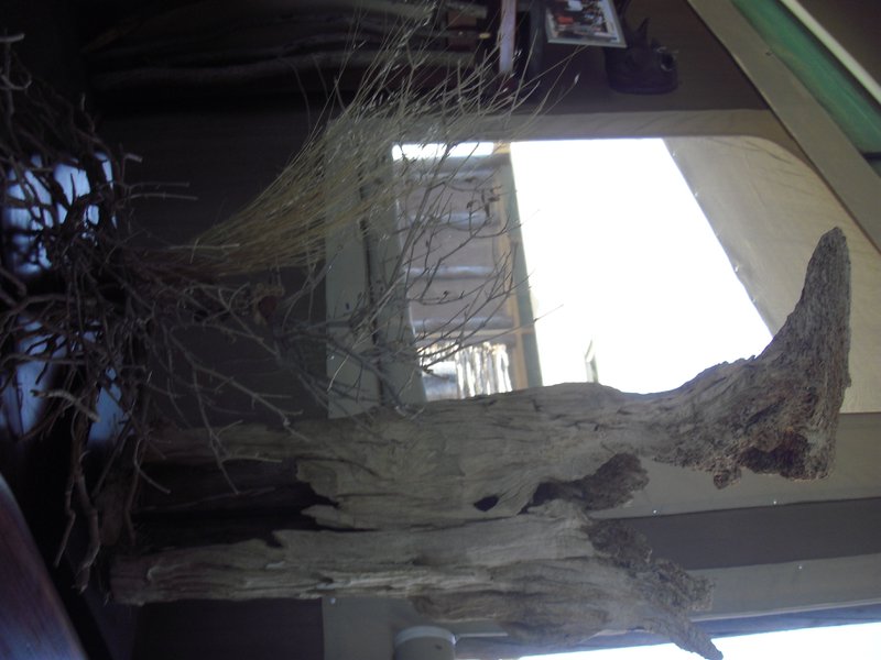 Image CIMG8661.JPG