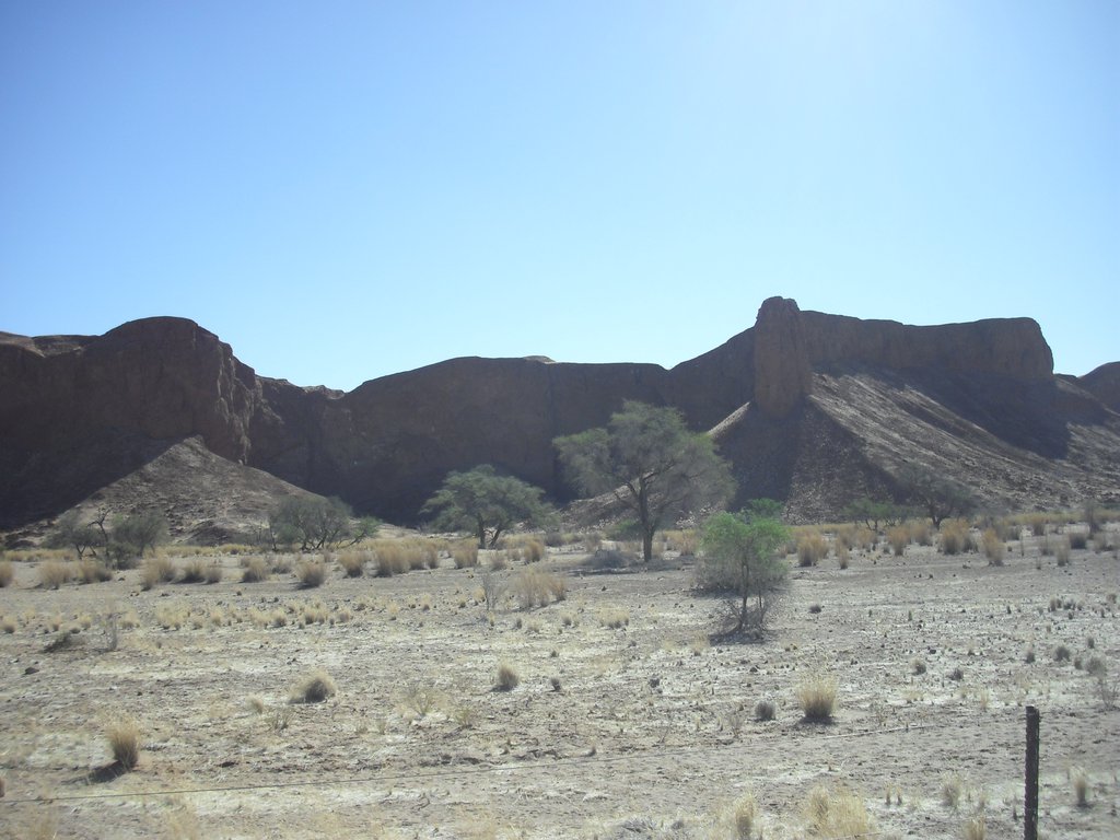 Image CIMG8666.JPG