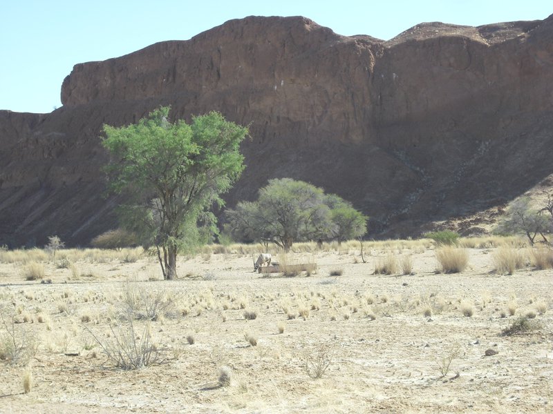 Image CIMG8667.JPG