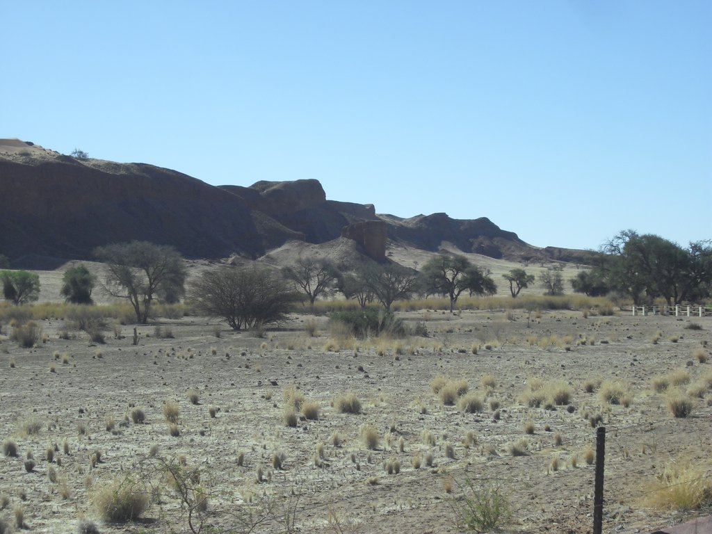 Image CIMG8668.JPG
