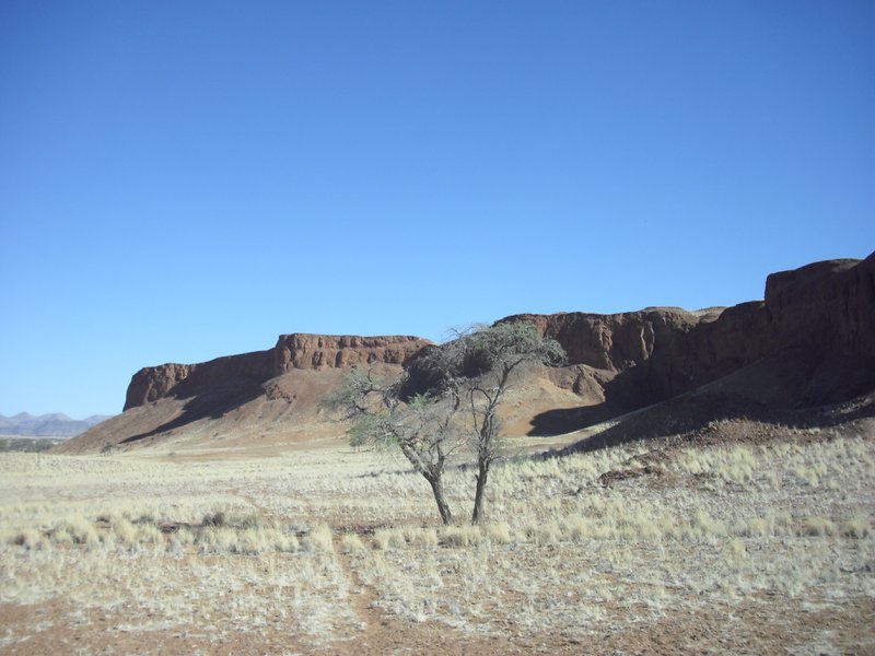 Image CIMG8674.JPG