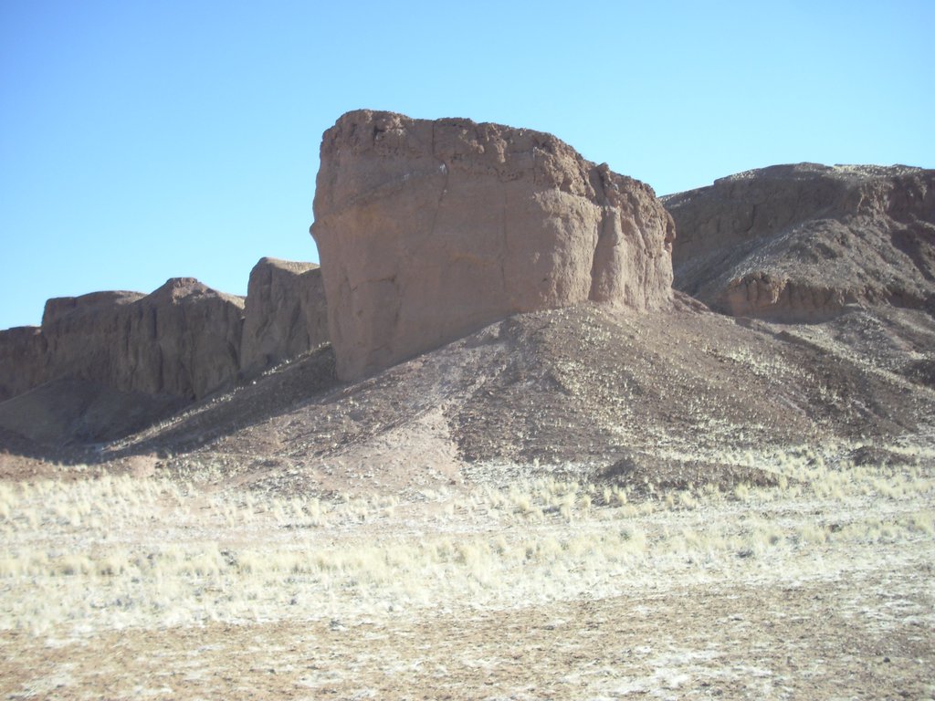 Image CIMG8675.JPG