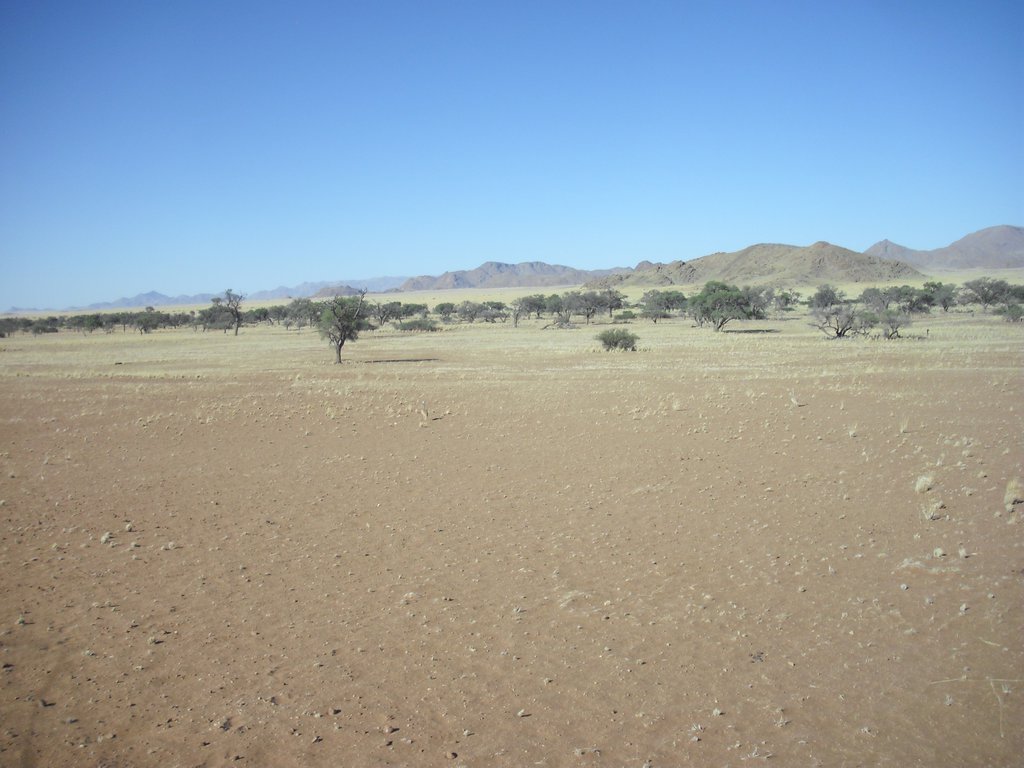 Image CIMG8677.JPG