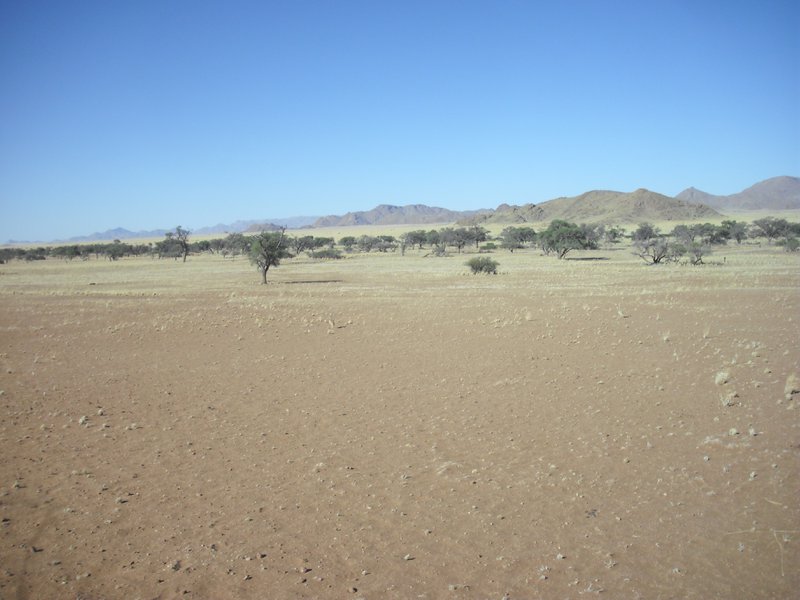 Image CIMG8677.JPG