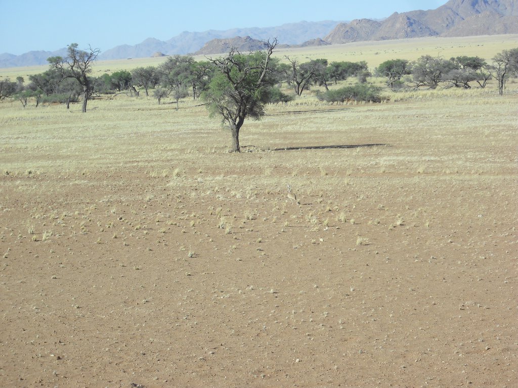 Image CIMG8678.JPG