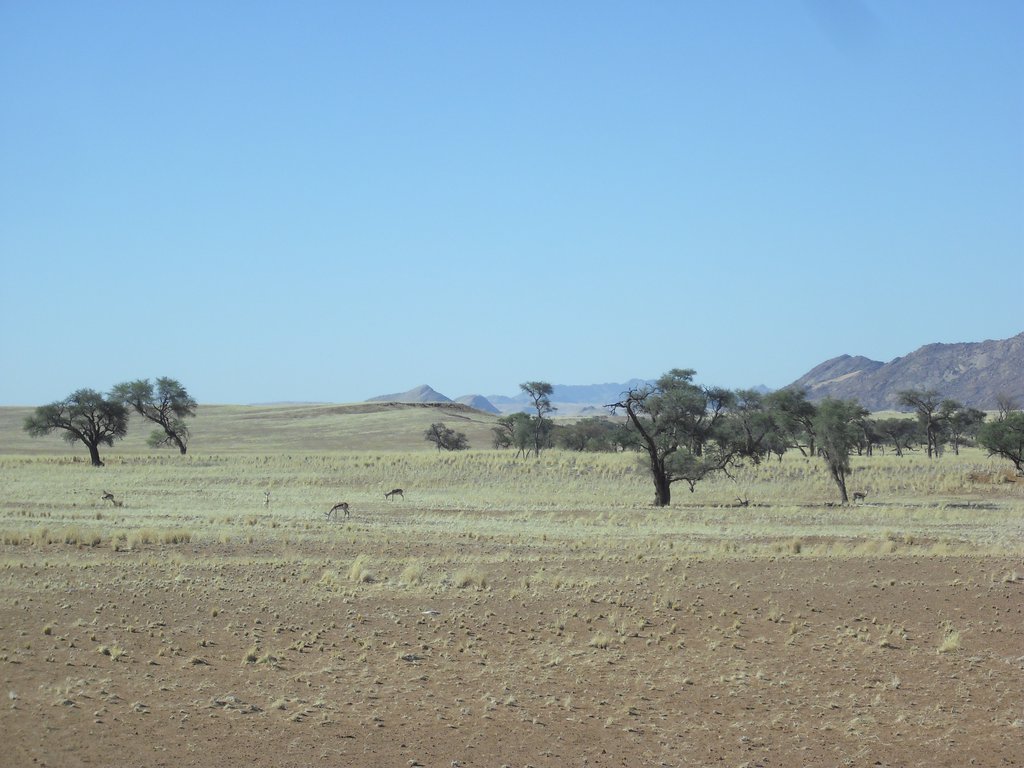 Image CIMG8679.JPG