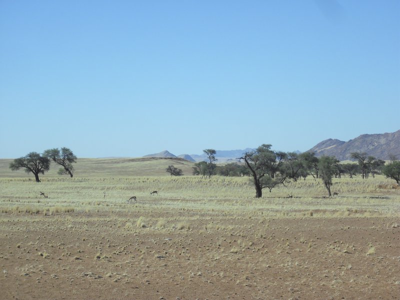 Image CIMG8679.JPG