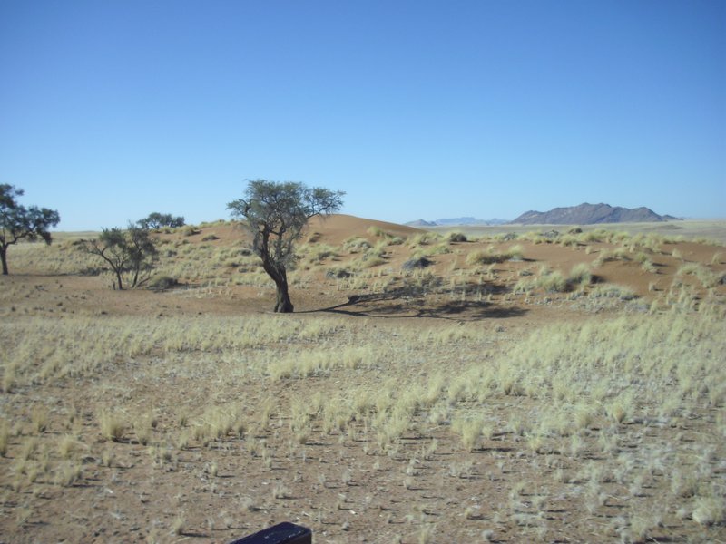 Image CIMG8680.JPG