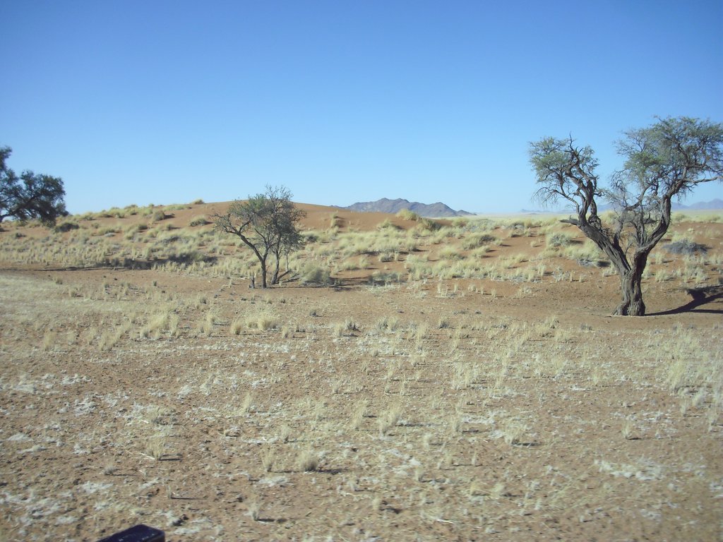 Image CIMG8681.JPG