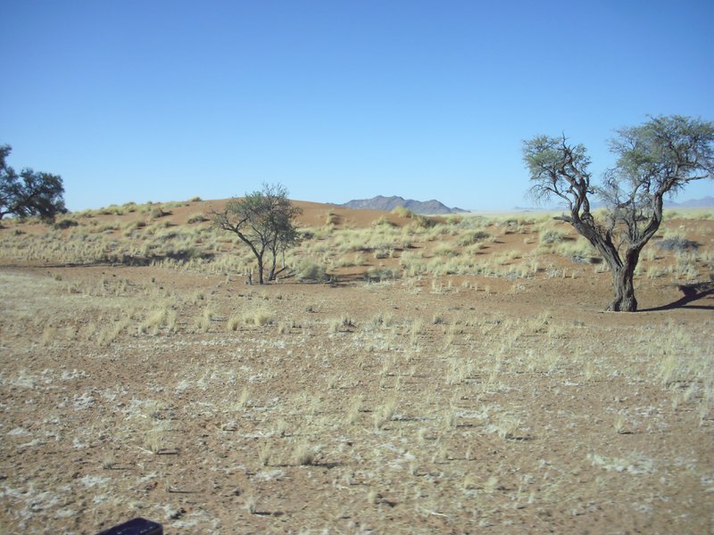 Image CIMG8681.JPG