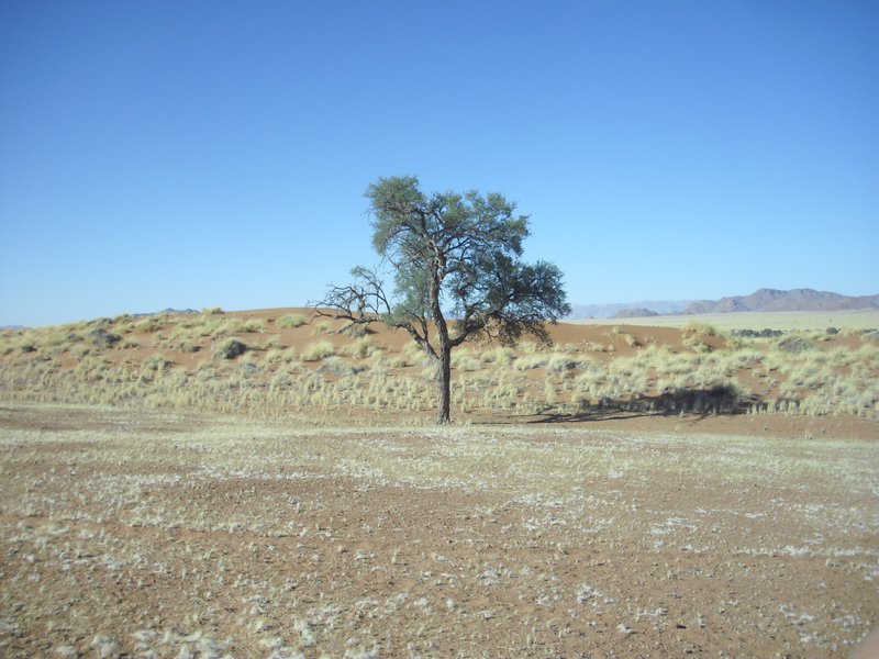 Image CIMG8682.JPG