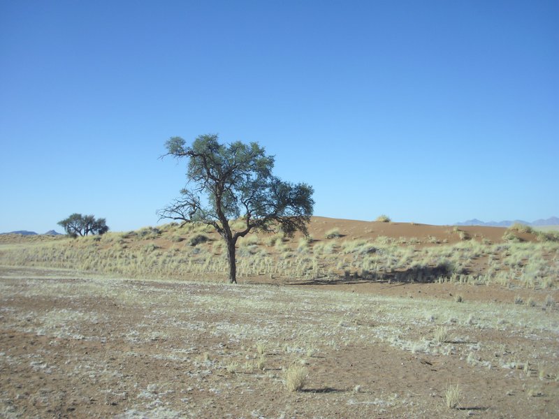 Image CIMG8683.JPG