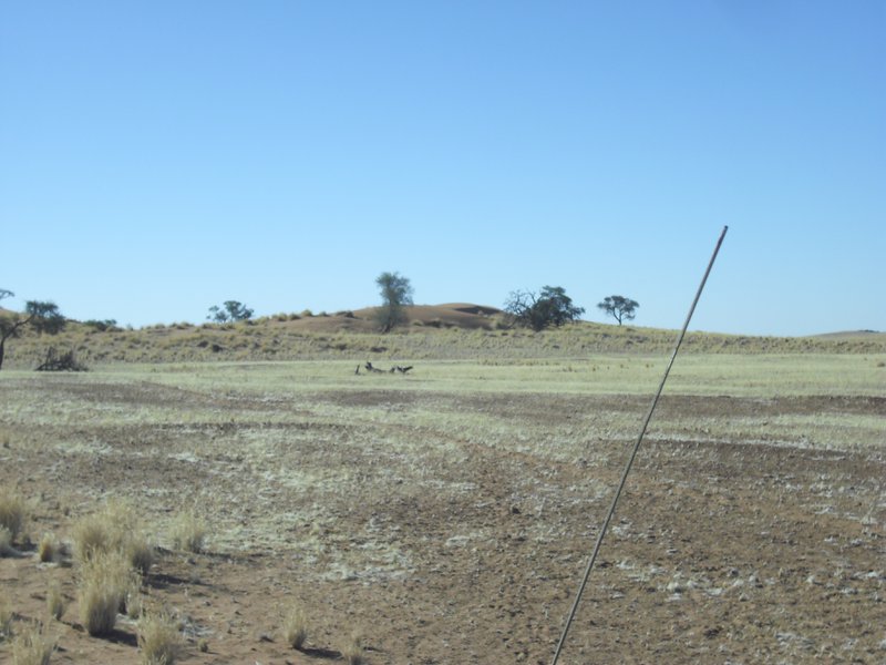 Image CIMG8684.JPG