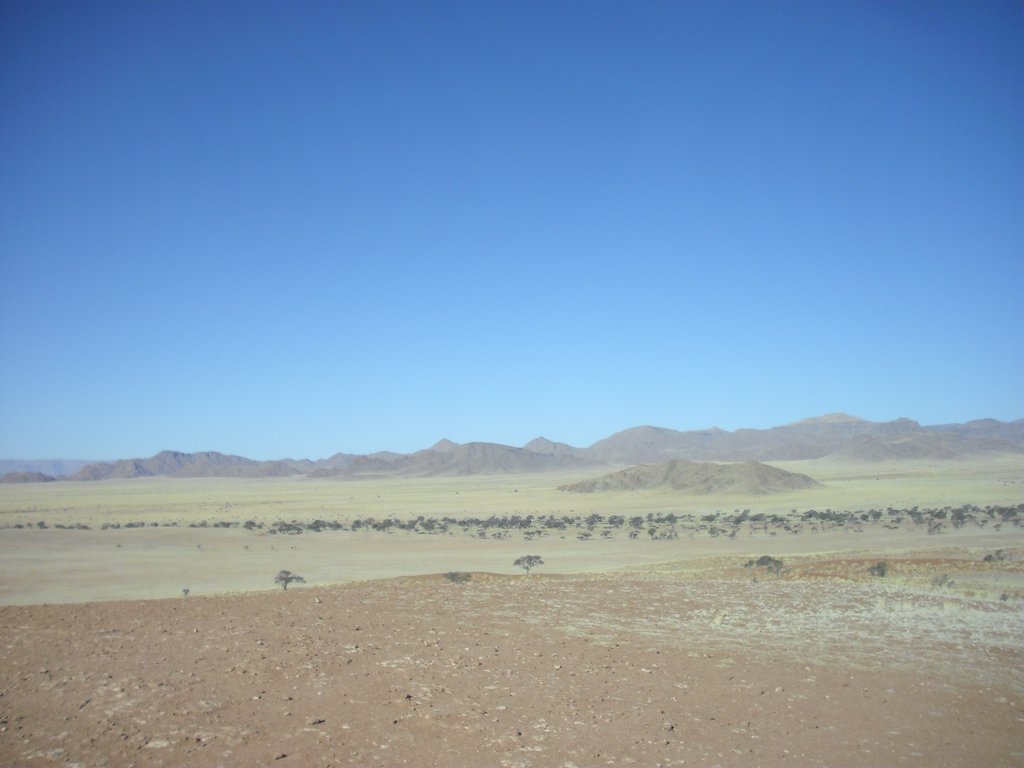 Image CIMG8690.JPG