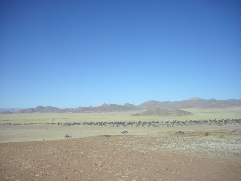 Image CIMG8690.JPG