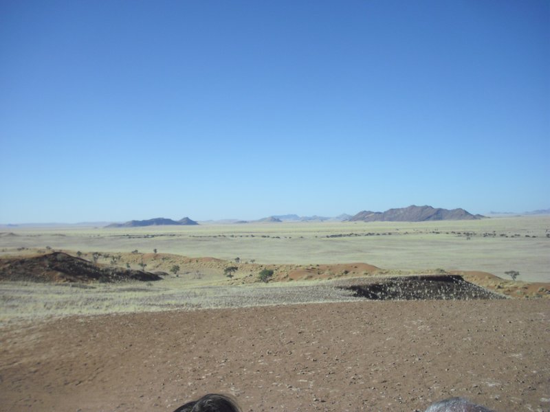 Image CIMG8693.JPG