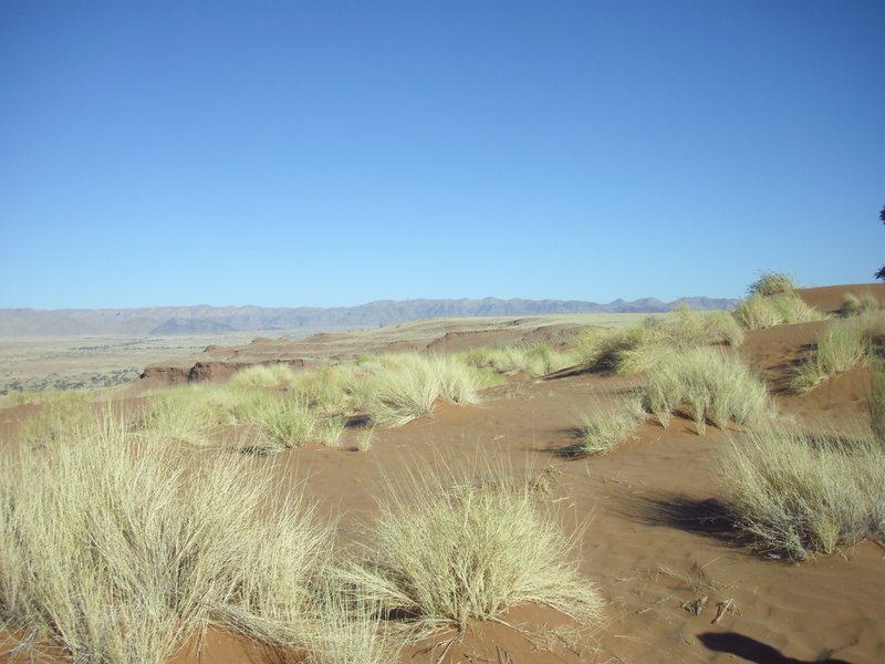 Image CIMG8696.JPG